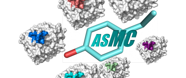 ASMC – Classifying Active Sites of Enzymes Families
