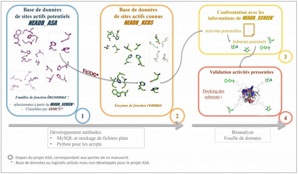 Structural modeling and active sites comparison for enzyme function