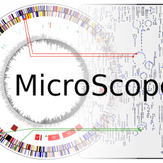 Ingénieur en développement logiciel pour la plateforme MicroScope