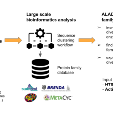 Post-doctoral position in bioinformatics: analysis of enzyme families from metagenomic data.