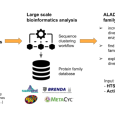 ALADIN project