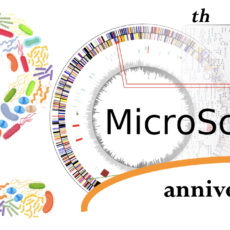 MicroScope platform 20 years anniversary!