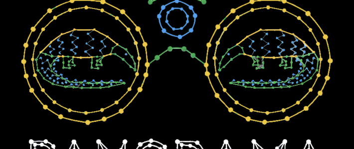 PANORAMA: a new pangenome-based tool to explore biological systems across species
